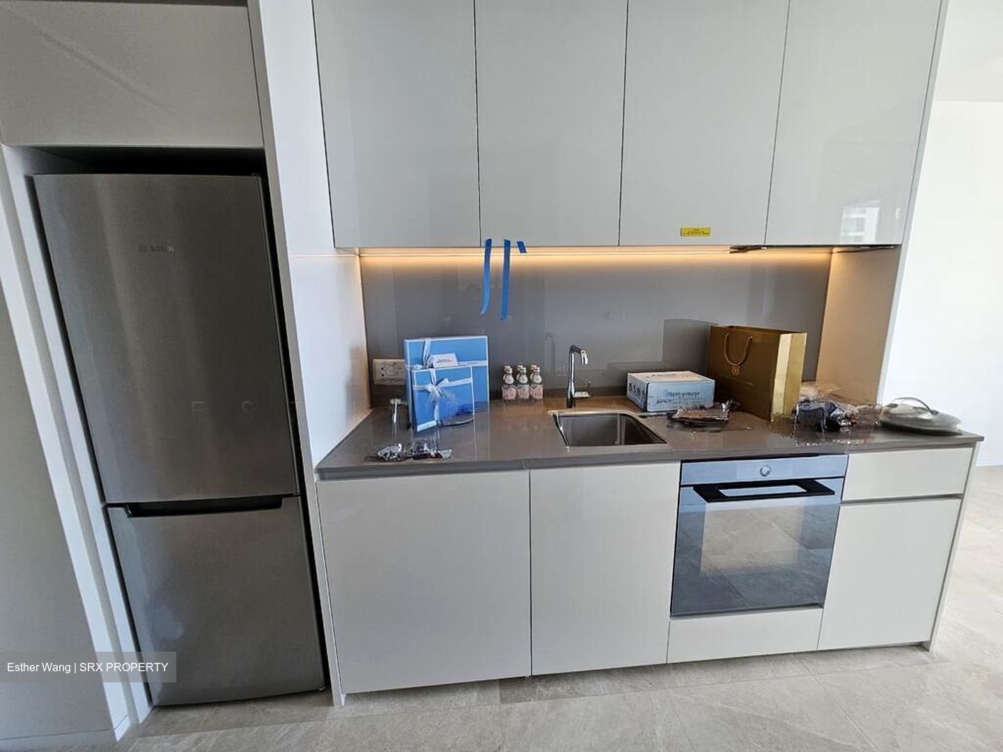 Amber Park (D15), Condominium #503564641